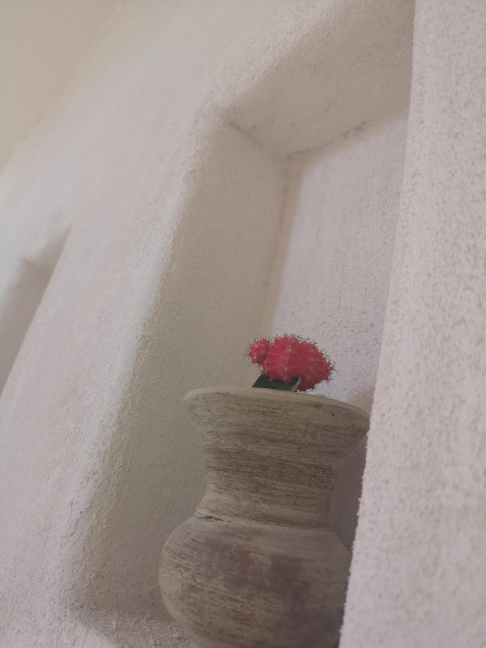 B&B Villa Rosalia プロチーダ エクステリア 写真