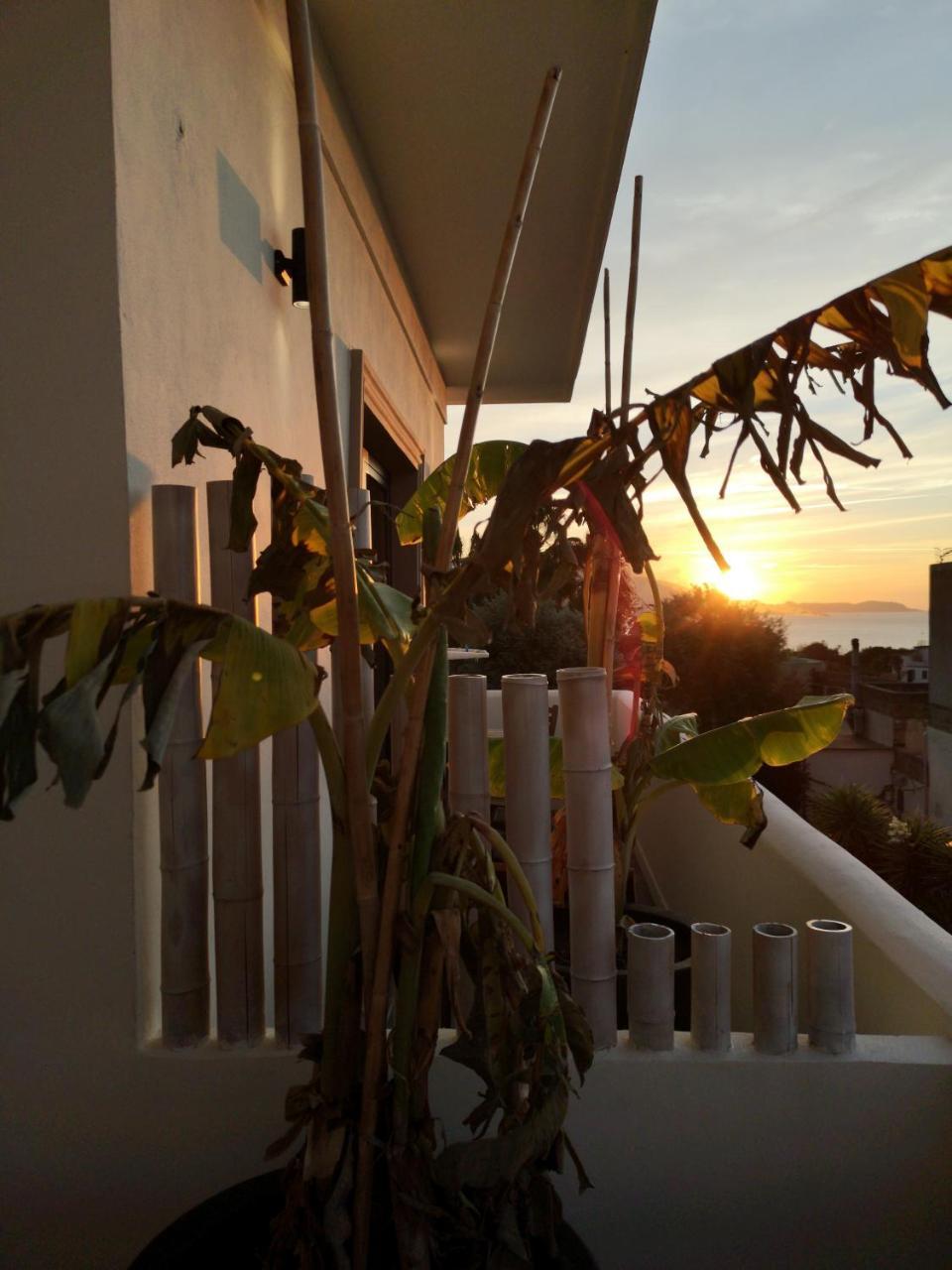 B&B Villa Rosalia プロチーダ エクステリア 写真