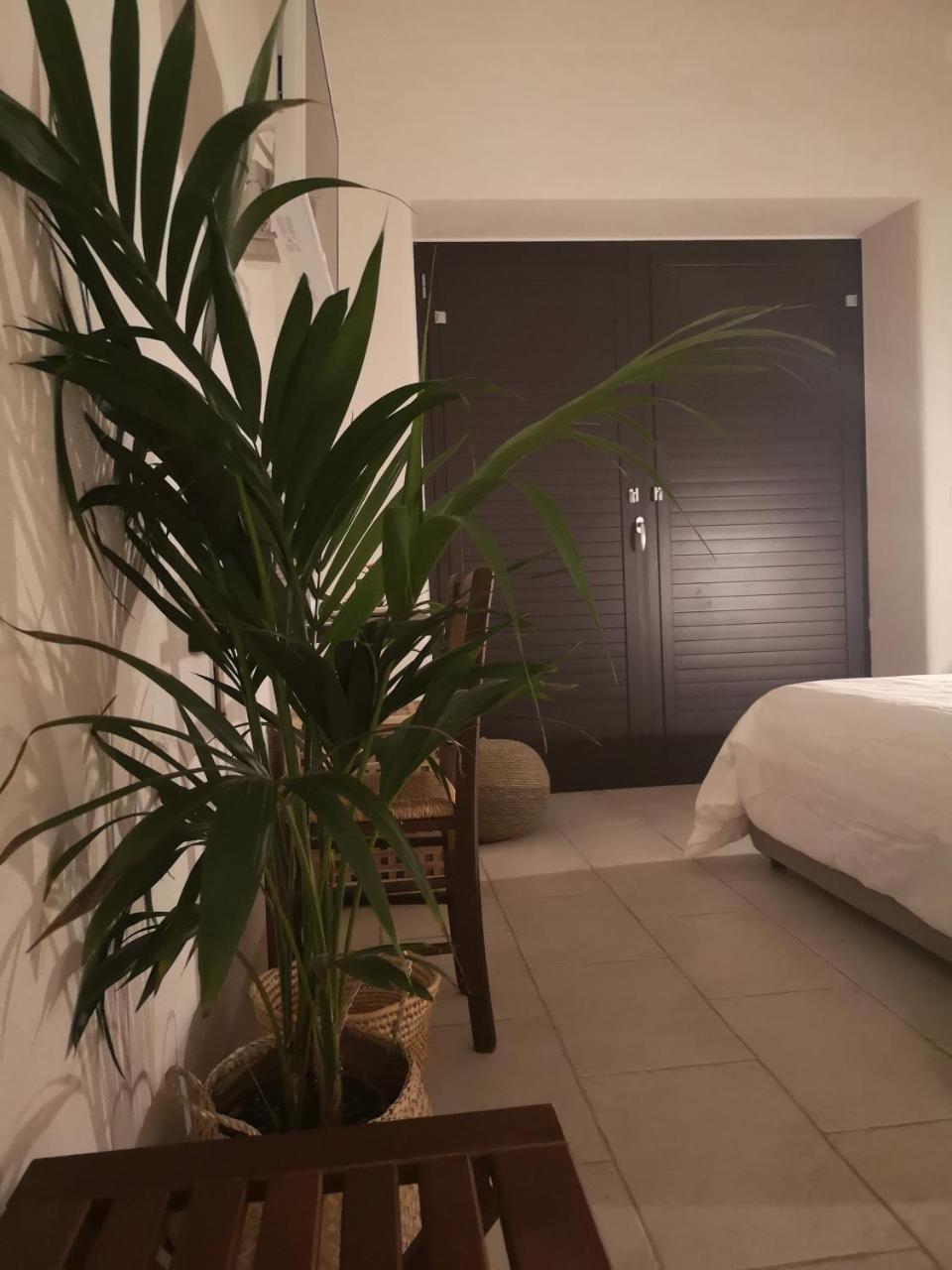 B&B Villa Rosalia プロチーダ エクステリア 写真