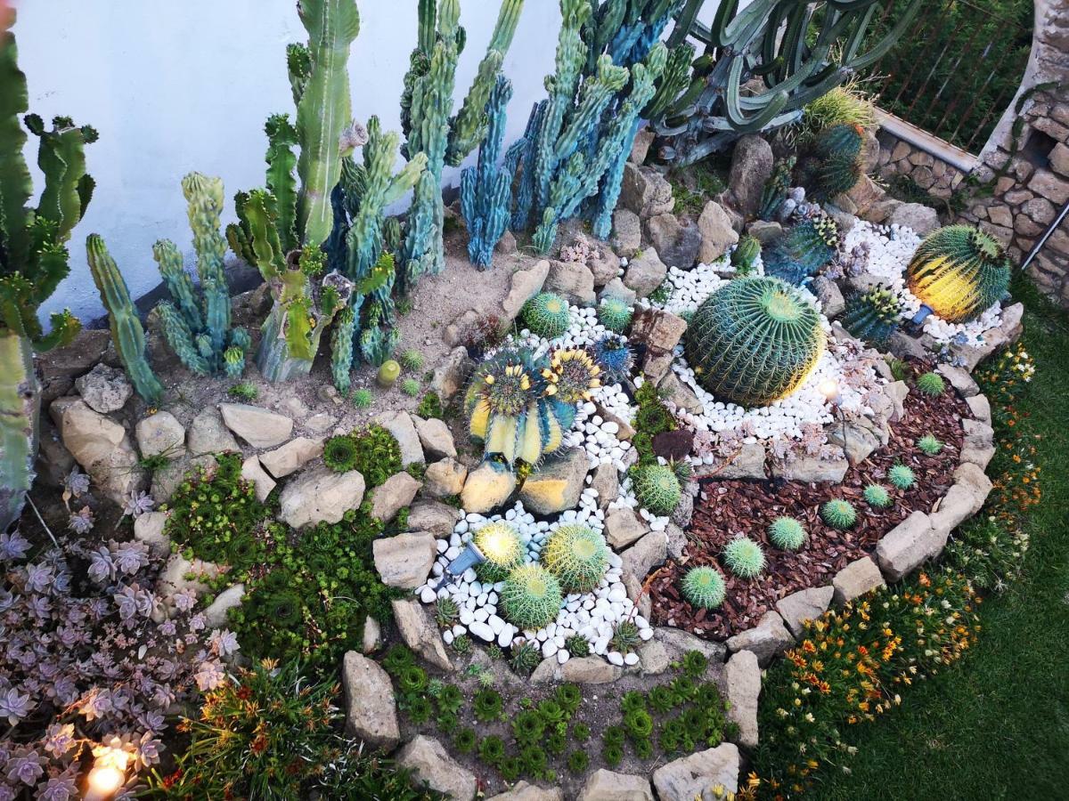 B&B Villa Rosalia プロチーダ エクステリア 写真